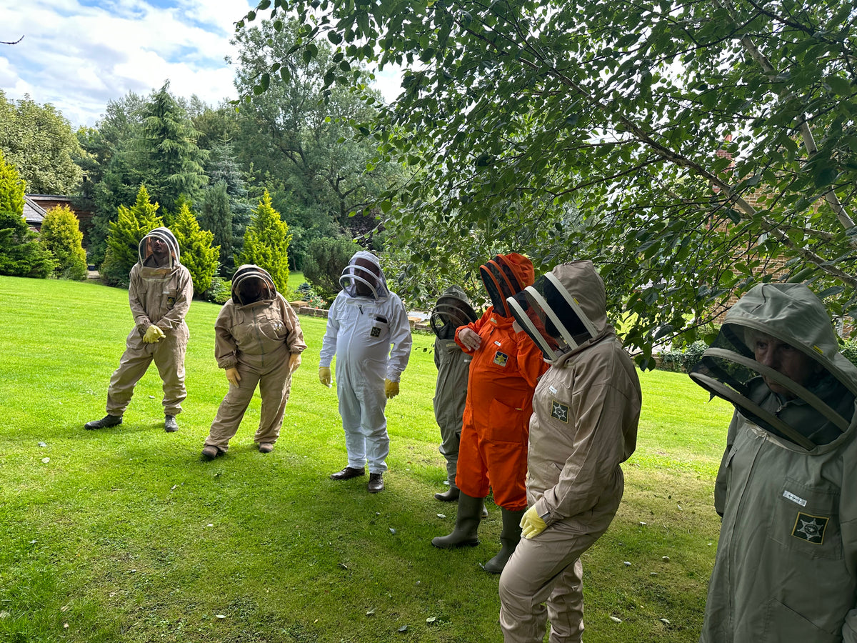 Meet the Bees