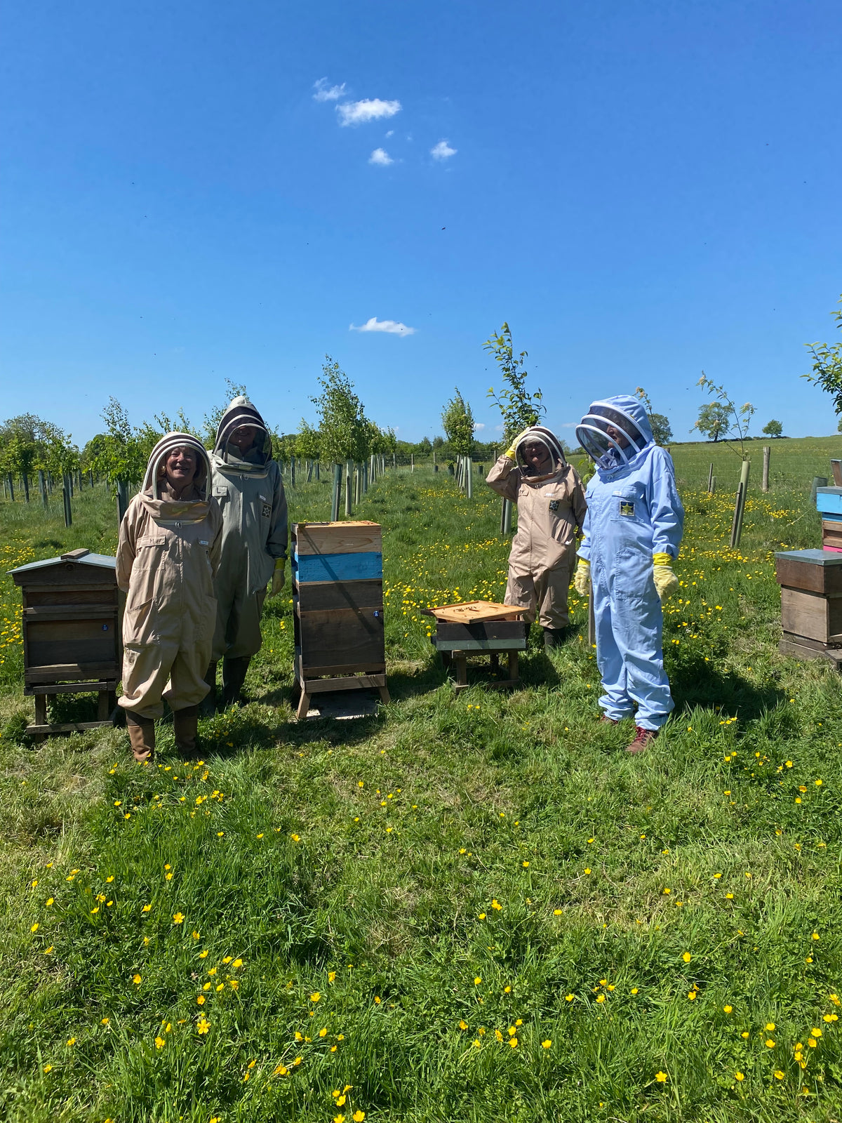 Meet the Bees