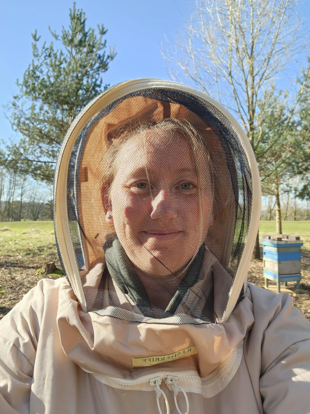 Meet the Bees