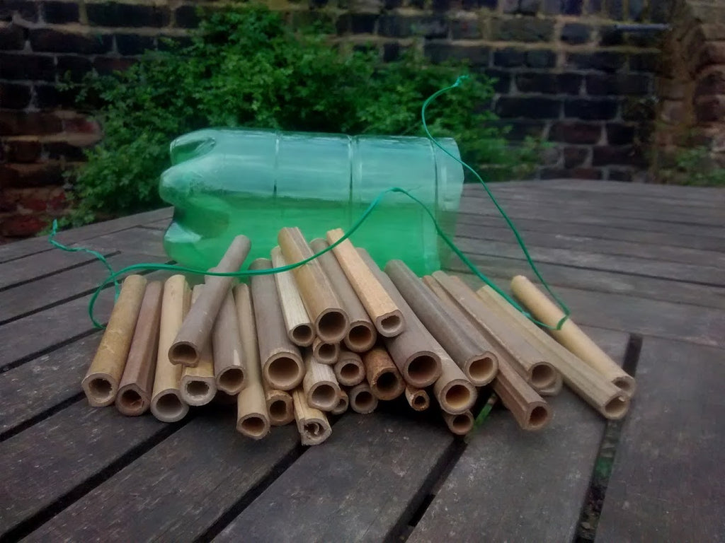 Make a Bug Hotel - 11 April 2027