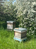 Adopt a Honey Bee Hive