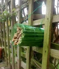 Make a Bug Hotel - 11 April 2027