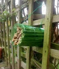 Make a Bug Hotel - 11 April 2027